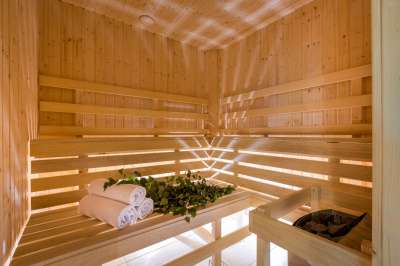 Wellness